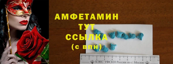ПСИЛОЦИБИНОВЫЕ ГРИБЫ Щучье