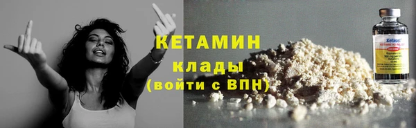 хмурый Щигры
