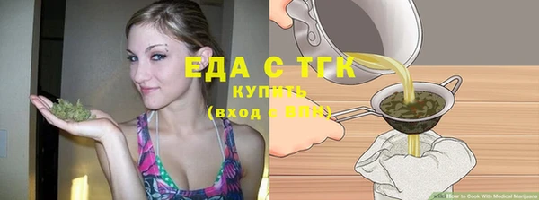 хмурый Щигры