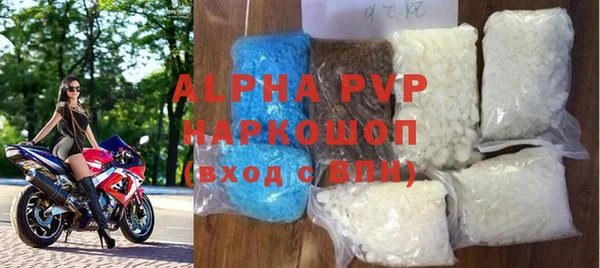 хмурый Щигры