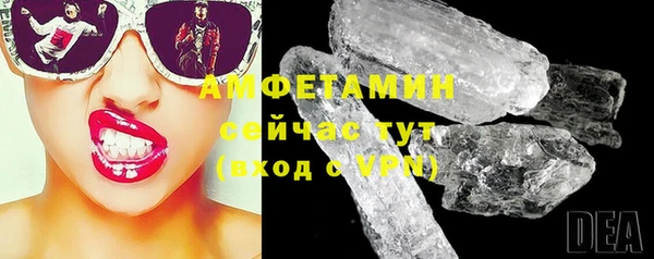 хмурый Щигры
